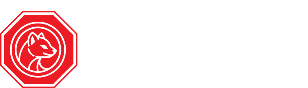 StopKuna.pl - naprawa dachu po kunach