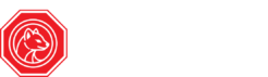 StopKuna.pl - naprawa dachu po kunach
